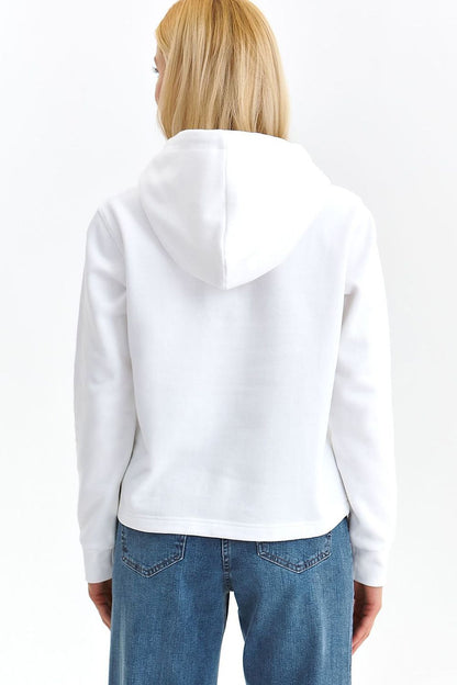 Sweater Model 186103 Top Secret