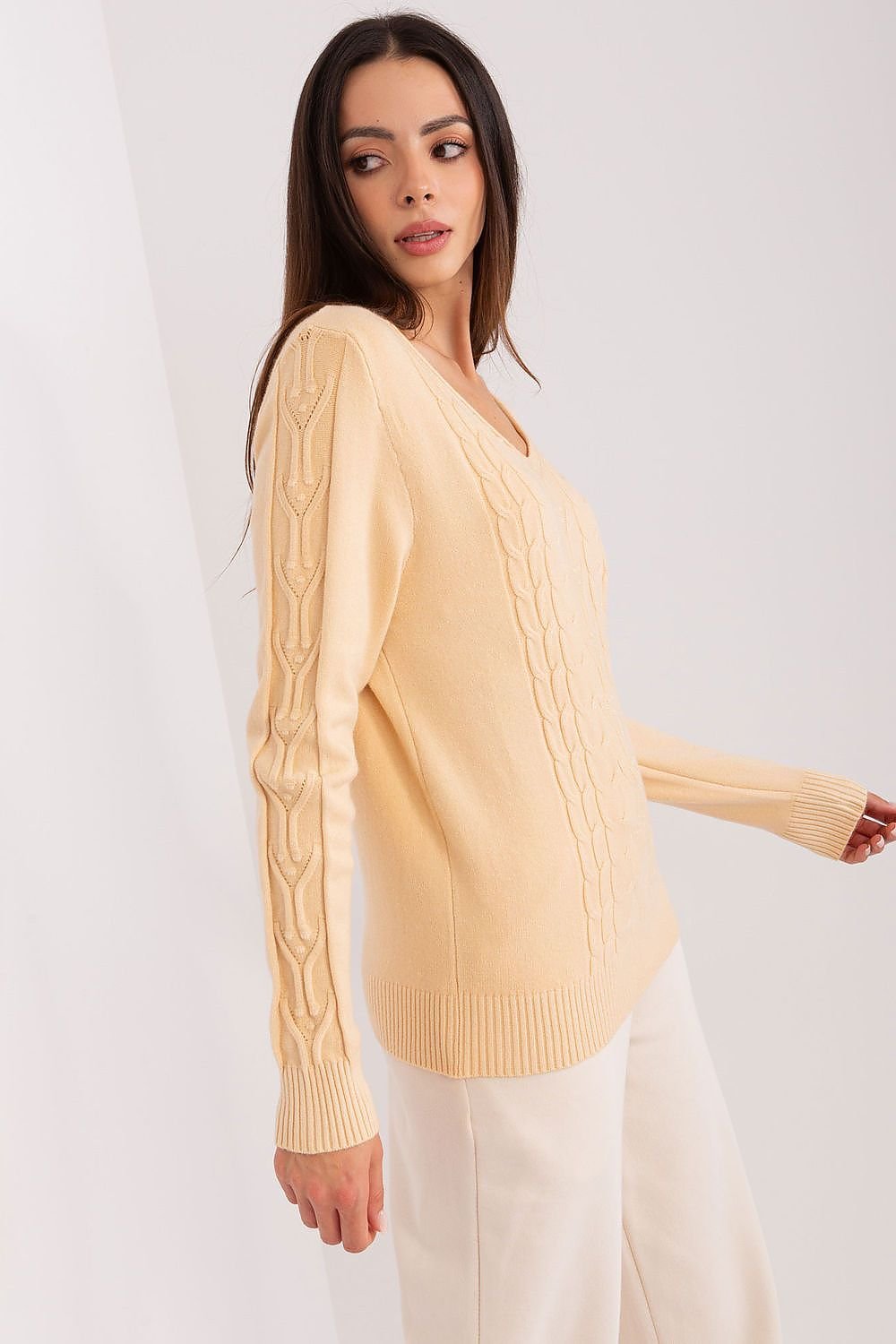 Sweater Model 186583 AT